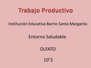 Institución Educativa Barrio Santa Margarita
Entorno Saludable
OLFATO
10°2
 