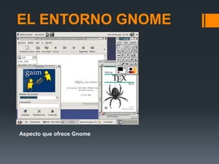 EL ENTORNO GNOMEAspecto que ofrece Gnome