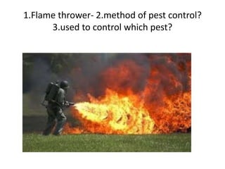 1.Flame thrower- 2.method of pest control?
3.used to control which pest?
 