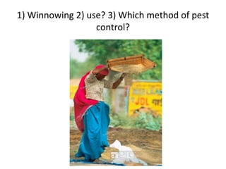 1) Winnowing 2) use? 3) Which method of pest
control?
 