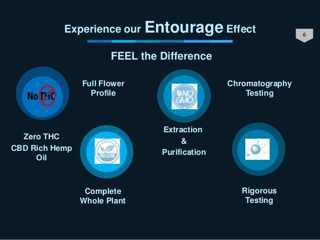 Entourage Nutritional Wholesale CBD | Bulk CBD Oils ...