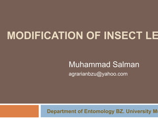 MODIFICATION OF INSECT LE
Muhammad Salman
agrarianbzu@yahoo.com

Department of Entomology BZ. University Mu

 