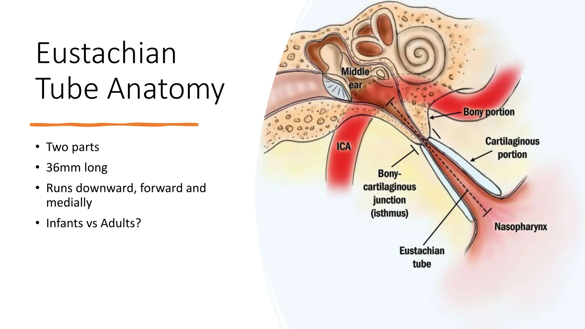 Eustachian Tube Dysfunction ENT Presentation pptx