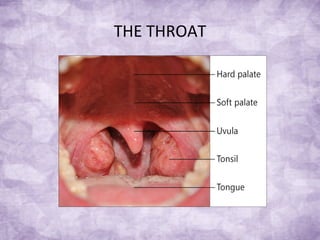 THE THROAT
 