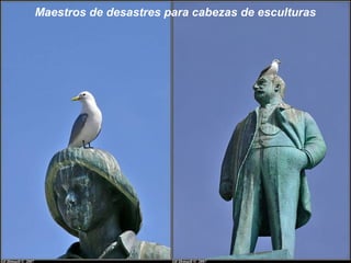 Maestros de desastres para cabezas de esculturas
 