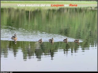 Vista matutina del río Losjoen en Rena
 