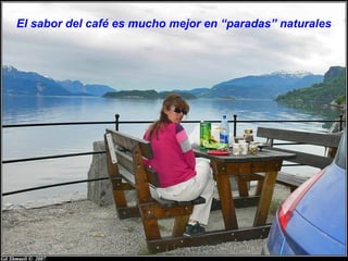 El sabor del café es mucho mejor en “paradas” naturales
 