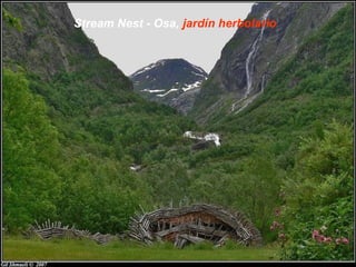 Stream Nest - Osa, jardín herbolario
 