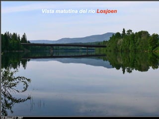 Vista matutina del río Losjoen
 