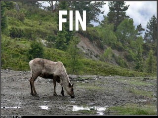 Entrada a norueg_ajmp