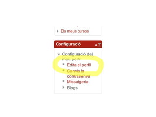 Entrada i canvi del mail al Moodle