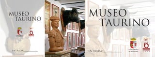 Entrada Museo Taurino