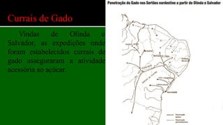 Currais de Gado
Vindas de Olinda e
Salvador, as expedições onde
foram estabelecidos currais de
gado asseguraram a atividade
acessória ao açúcar.
 