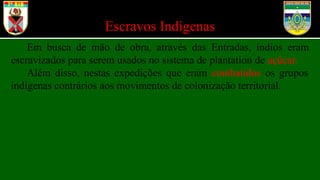 Escravos Indígenas
Em busca de mão de obra, através das Entradas, índios eram
escravizados para serem usados no sistema de plantation de açúcar.
Além disso, nestas expedições que eram combatidos os grupos
indígenas contrários aos movimentos de colonização territorial.
 