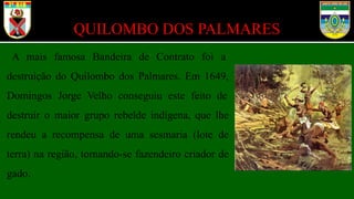 QUILOMBO DOS PALMARES
A mais famosa Bandeira de Contrato foi a
destruição do Quilombo dos Palmares. Em 1649,
Domingos Jorge Velho conseguiu este feito de
destruir o maior grupo rebelde indígena, que lhe
rendeu a recompensa de uma sesmaria (lote de
terra) na região, tornando-se fazendeiro criador de
gado.
 