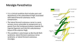 Meralgia Paresthetica
• It is a clinical condition that includes pain and
dysesthesia in the anterolateral thigh associated
with lateral femoral cutaneous nerve
compression.
• The lateral femoral cutaneous nerve is a pure
sensory nerve vulnerable to compression as it
passes from the lumbosacral plexus towards the
inguinal ligament and into the subcutaneous
tissue of the anterior thigh.
• This condition is also known as Bernhardt Roth
syndrome, lateral femoral cutaneous nerve
syndrome, or lateral femoral cutaneous
neuralgia.
 