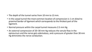 • The depth of the tunnel varies from 10 mm to 13 mm.
• In the carpal tunnel the most common location of compression is 1 cm distal to
proximal border of ligament which corresponds to the thickest part of the
ligament.
• Normal pressure within the carpal tunnel measures 2.5 mm Hg.
• An external compression of 20–30 mm Hg reduces the venule flow in the
epineurium and the nerve gets edematous, and a pressure of greater than 30 mm
Hg diminishes the nerve conduction.
 