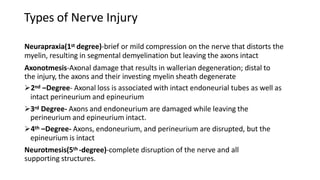 Types of Nerve Injury
Neurapraxia(1st degree)-brief or mild compression on the nerve that distorts the
myelin, resulting in segmental demyelination but leaving the axons intact
Axonotmesis-Axonal damage that results in wallerian degeneration; distal to
the injury, the axons and their investing myelin sheath degenerate
2nd –Degree- Axonal loss is associated with intact endoneurial tubes as well as
intact perineurium and epineurium
3rd Degree- Axons and endoneurium are damaged while leaving the
perineurium and epineurium intact.
4th –Degree- Axons, endoneurium, and perineurium are disrupted, but the
epineurium is intact
Neurotmesis(5th -degree)-complete disruption of the nerve and all
supporting structures.
 