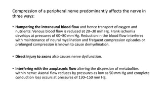 Compression of a peripheral nerve predominantly affects the nerve in
three ways:
• Hampering the intraneural blood flow and hence transport of oxygen and
nutrients: Venous blood flow is reduced at 20–30 mm Hg. Frank ischemia
develops at pressures of 60–80 mm Hg. Reduction in the blood flow interferes
with maintenance of neural myelination and frequent compression episodes or
prolonged compression is known to cause demyelination.
• Direct injury to axons also causes nerve dysfunction.
• Interfering with the axoplasmic flow altering the dispersion of metabolites
within nerve: Axonal flow reduces by pressures as low as 50 mm Hg and complete
conduction loss occurs at pressures of 130–150 mm Hg.
 