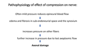 Pathophysiology of effect of compression on nerve:
Often mild pressure reduces epineural blood flow
edema and fibrosis in sub-endoneurial space and the synovium
increases pressure on other fibers
further increase in pressure due to lost axoplasmic flow
Axonal damage
 
