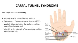 CARPAL TUNNEL SYNDROME
The carpal tunnel is formed by
• Dorsally : Carpal bones forming an arch
• Volar aspect : Transverse carpal ligament (TCL).
• Medially it is attached to the pisiform and the
hook of the hamate and
• Laterally to the tubercle of the scaphoid and the
trapezium’s crest.
 