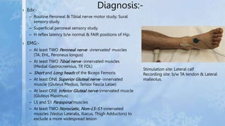 Diagnosis:-
› Edx:-
– Routine Peroneal & Tibial nerve motor study; Sural
sensory study.
– Superficial peroneal sensory stu...