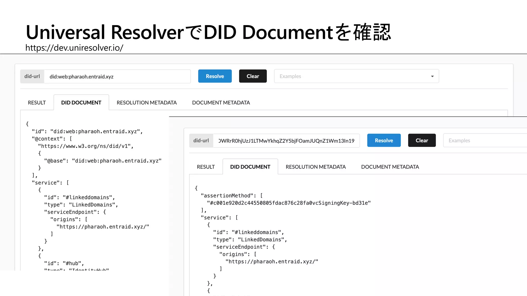 Universal ResolverでDID Documentを確認
https://dev.uniresolver.io/
 
