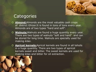 Categories
 Almond:Almonds are the most valuable cash crops
of district Ghizer.It is found in tons of tons every year.
Almonds are of two types "hard and soft".
 Walnuts:Walnuts are found a huge quantity every year.
There are two types of walnuts "soft and hard" and can
be stored for long time. Walnuts are specially used for
making kilao.
 Apricot kernels:Apricot kernels are found in all tehsils
in a huge quantity. There are two types of apricot
kernels sweet and bitter. The sweet kernels are used for
making kilao and bitter for oil extraction.
 