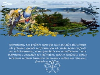 Entrementes, não podemos supor que esses ansiados dias estejam
 tão próximos, quando verificamos que há, ainda, tanta confusão
 nos relacionamentos, tanta ignorância nos entendimentos, tanta
indiferença e ansiedade nos indivíduos, como se vendavais, tufões,
 tormentas variadas teimassem em sacudir o íntimo das criaturas,
                       fazendo-as infelizes.
 
