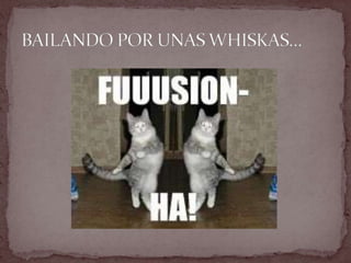 BAILANDO POR UNAS WHISKAS…
