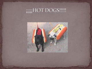 ¡¡¡¡¡HOT DOGS!!!!!