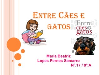 ENTRE CÃES E
      GATOS


     Maria Beatriz
 Lopes Pernes Samarro
                   Nº.17 / 8º.A
 
