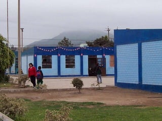 Habilidades BásicasGrade 928%Fully literate13%