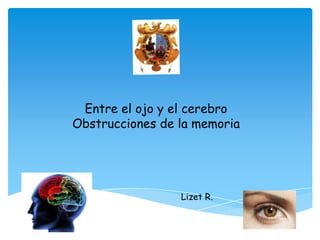 Entre el ojo y el cerebro
Obstrucciones de la memoria

Lizet R.

 