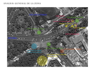 ANALISIS GENERAL DE LA ZONA 