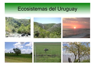 Ecosistemas del Uruguay
 
