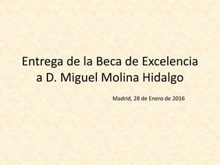 Entrega de la Beca de Excelencia
a D. Miguel Molina Hidalgo
Madrid, 28 de Enero de 2016
 