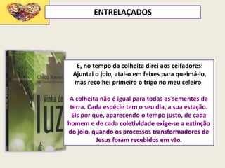 -E, no tempo da colheita direi aos ceifadores:
Ajuntai o joio, atai-o em feixes para queimá-lo,
mas recolhei primeiro o trigo no meu celeiro.
A colheita não é igual para todas as sementes da
terra. Cada espécie tem o seu dia, a sua estação.
Eis por que, aparecendo o tempo justo, de cada
homem e de cada coletividade exige-se a extinção
do joio, quando os processos transformadores de
Jesus foram recebidos em vão.
ENTRELAÇADOS
 