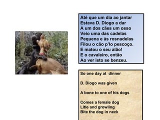 Até que um dia ao jantar
Estava D. Diogo a dar
A um dos cães um osso
Veio uma das cadelas
Pequena e às rosnadelas
Filou o cão p’lo pescoço.
E matou o seu alão!
E o cavaleiro, então
Ao ver isto se benzeu.
So one day at dinner
D. Diogo was given
A bone to one of his dogs
Comes a female dog
Litle and growling
Bite the dog in neck
 