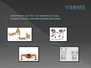    Calentamiento de 10min. (Lo aprendido en clase)
   Trabajaré el flexitest: extensión posterior del hombro




Tríceps                                       Deltoides posterior




             Pectorales                                     Deltoides anterior
 