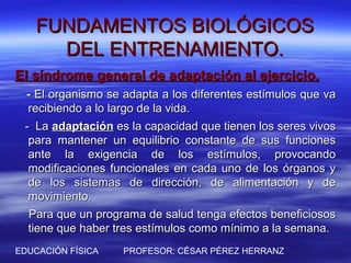 FUNDAMENTOS BIOLÓGICOS
     DEL ENTRENAMIENTO.
El síndrome general de adaptación al ejercicio.
 - El organismo se adapta a los diferentes estímulos que va
  recibiendo a lo largo de la vida.
 - La adaptación es la capacidad que tienen los seres vivos
  para mantener un equilibrio constante de sus funciones
  ante la exigencia de los estímulos, provocando
  modificaciones funcionales en cada uno de los órganos y
  de los sistemas de dirección, de alimentación y de
  movimiento.
  Para que un programa de salud tenga efectos beneficiosos
  tiene que haber tres estímulos como mínimo a la semana.
EDUCACIÓN FÍSICA   PROFESOR: CÉSAR PÉREZ HERRANZ
 