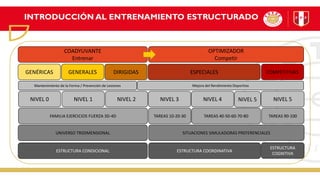 INTRODUCCIÓN AL ENTRENAMIENTO ESTRUCTURADO
GENÉRICAS GENERALES DIRIGIDAS ESPECIALES COMPETITIVAS
NIVEL 0 NIVEL 1 NIVEL 2 NIVEL 3 NIVEL 4 NIVEL 5
TAREAS 10-20-30
NIVEL 5
TAREAS 40-50-60-70-80 TAREAS 90-100
FAMILIA EJERCICIOS FUERZA 3D-4D
SITUACIONES SIMULADORAS PREFERENCIALES
UNIVERSO TRIDIMENSIONAL
ESTRUCTURA
COGNITIVA
ESTRUCTURA COORDINATIVA
ESTRUCTURA CONDICIONAL
COADYUVANTE
Entrenar
OPTIMIZADOR
Competir
Mantenimiento de la Forma / Prevención de Lesiones Mejora del Rendimiento Deportivo
 