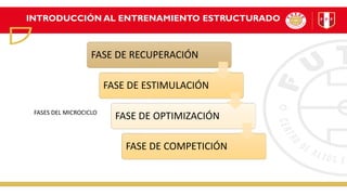 FASES DEL MICROCICLO
FASE DE RECUPERACIÓN
FASE DE ESTIMULACIÓN
FASE DE OPTIMIZACIÓN
FASE DE COMPETICIÓN
INTRODUCCIÓN AL ENTRENAMIENTO ESTRUCTURADO
 