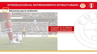 INTRODUCCIÓN AL ENTRENAMIENTO ESTRUCTURADO
Estructuras que lo conforman
El jugador es un sistema
dinámico de Estructuras
 