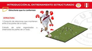INTRODUCCIÓN AL ENTRENAMIENTO ESTRUCTURADO
Estructuras que lo conforman
1.Conjunto de relaciones que mantienen
entre sí las partes de un todo.
2.Modo de estar organizadas u
ordenadas las partes de un todo.
ESTRUCTURA
 