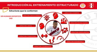 INTRODUCCIÓN AL ENTRENAMIENTO ESTRUCTURADO
Estructuras que lo conforman
ESTRUCTURA CONDICIONAL
ESTRUCTURA COORDINATIVA
ESTRUCTURA COGNITIVA
ESTRUCTURA SOCIO-AFECTIVA
ESTRUCTURA CREATIVO-EXPRESIVA
ESTRUCTURA EMOTIVO-VOLITIVA
ESTRUCTURA BIOENERGÉTICA
ESTRUCTURA MENTAL
SER HUMANO DEPORTISTA
SHD
 