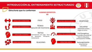 INTRODUCCIÓN AL ENTRENAMIENTO ESTRUCTURADO
Estructuras que lo conforman
ESTRUCTURA CONDICIONAL
ESTRUCTURA COORDINATIVA
ESTRUCTURA COGNITIVA
ESTRUCTURA SOCIO-AFECTIVA
ESTRUCTURA CREATIVO-EXPRESIVA
ESTRUCTURA EMOTIVO-VOLITIVA
ESTRUCTURA BIOENERGÉTICA
ESTRUCTURA MENTAL
HUMANO DEPORTISTA
HD
FÍSICO
TÉCNICA
Ejecución del movimiento
TÁCTICA
Entendimiento del juego, Toma
de Decisiones, Percepción,
Interpretación
RELACIONES
CREATIVIDAD
VOLUNTAD
Sentimientos propios,
Estados de ánimo
Autoorganización
de las distintas
estructuras
Vías Energéticas
Hace posible el desarrollo de
Todas las estructuras
(Entrenamiento Invisible)
 