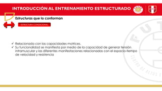 INTRODUCCIÓN AL ENTRENAMIENTO ESTRUCTURADO
Estructuras que lo conforman
ESTRUCTURA CONDICIONAL
✓ Relacionada con las capacidades motrices.
✓ Su funcionalidad se manifiesta por medio de la capacidad de generar tensión
intramuscular y las diferentes manifestaciones relacionadas con el espacio-tiempo
de velocidad y resistencia
 