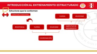 INTRODUCCIÓN AL ENTRENAMIENTO ESTRUCTURADO
Estructuras que lo conforman
ESTRUCTURA CONDICIONAL
FUERZA
RESISTENCIA VELOCIDAD
AMPLITUD DE
MOVIMIENTO
COORDINACIÓN
FUERZA VELOCIDAD
 