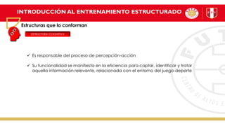INTRODUCCIÓN AL ENTRENAMIENTO ESTRUCTURADO
Estructuras que lo conforman
ESTRUCTURA COGNITIVA
✓ Es responsable del proceso de percepción-acción
✓ Su funcionalidad se manifiesta en la eficiencia para captar, identificar y tratar
aquella información relevante, relacionada con el entorno del juego-deporte
 
